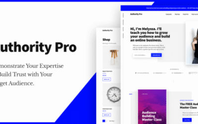 responsive wordpress templates